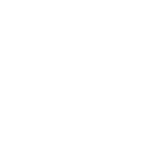 piggy icon