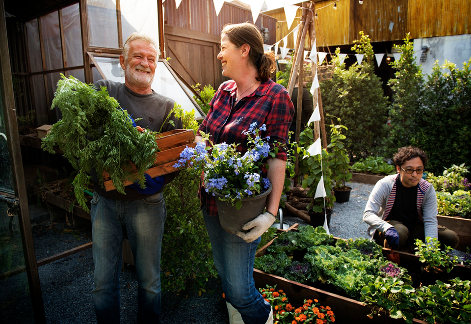 Bus Savings-960x660 – Chemung Canal Trust Company Three people working in a community garden. Two are holding large potted plants.