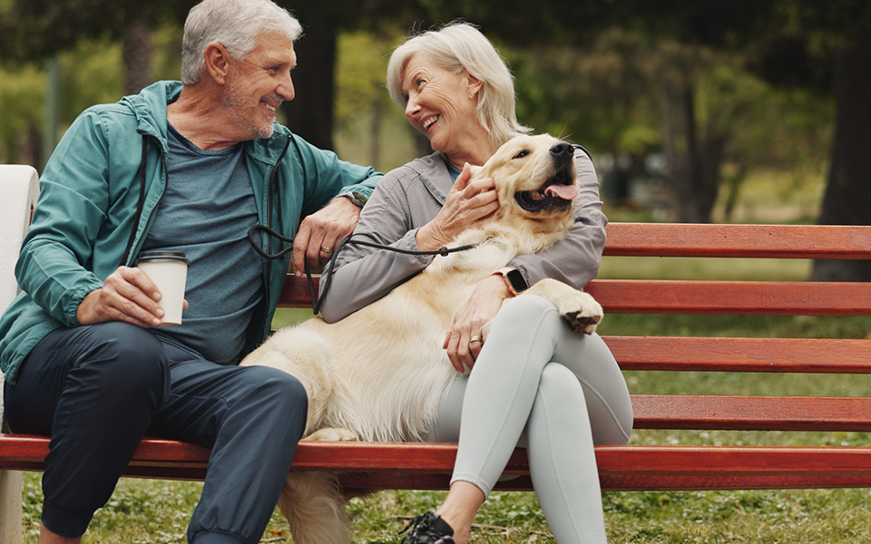 Retirement-960x600 – Chemung Canal Trust Company  a man and woman are seated on a park bench with a a fluffy golden dog snuggled up on the bench with them